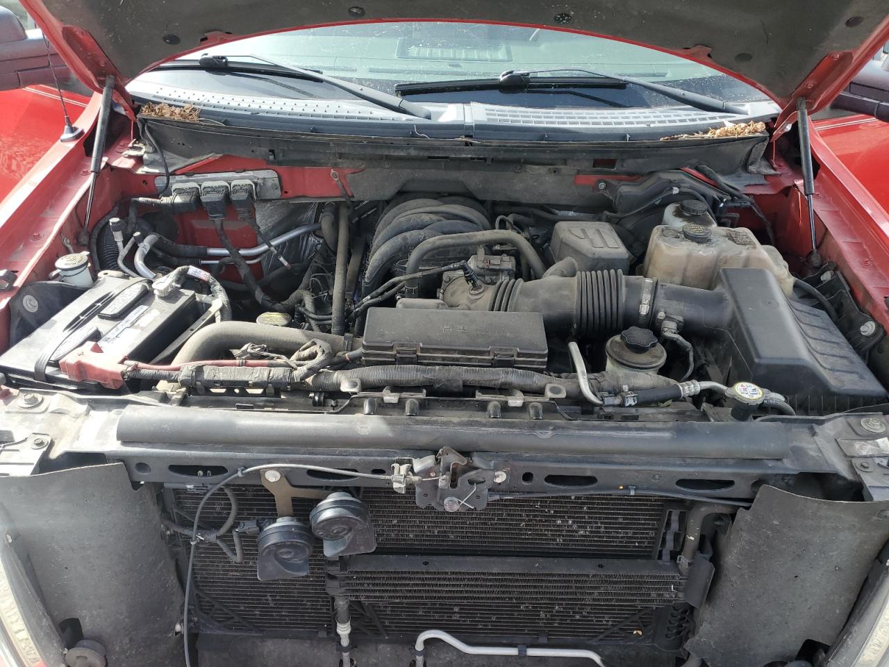 2010 Ford F-150 - Image 11
