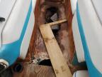 1993 Exce Boat W/Trl for Sale in Phoenix, AZ - Minor Dent/Scratches
