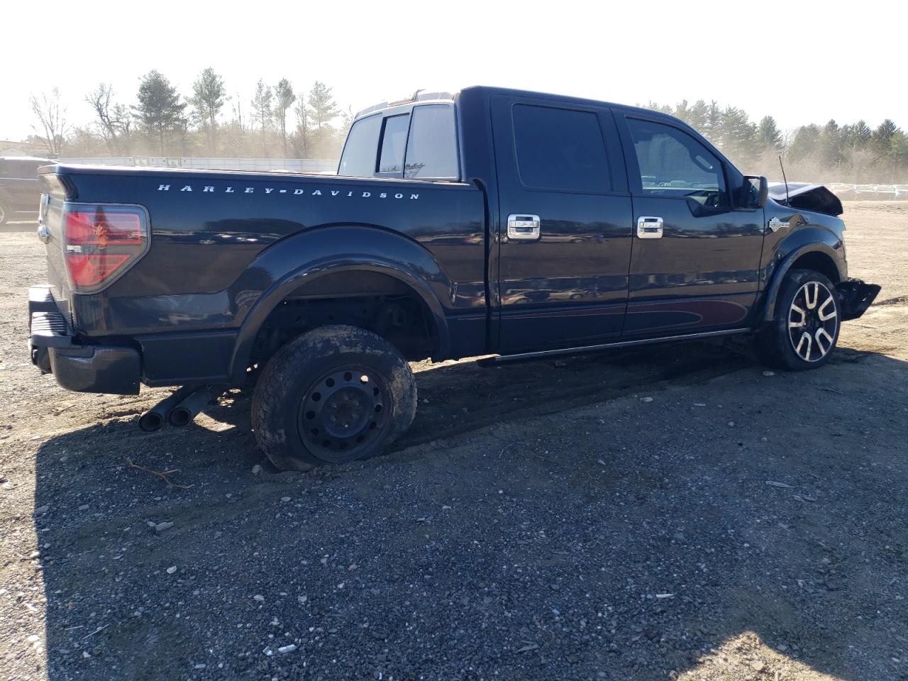 2010 Ford F-150 - Image 3