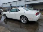 2009 Dodge Challenger Se for Sale in New Britain, CT - Front End