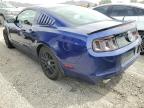 2014 Ford Mustang  for Sale in Las Vegas, NV - Front End