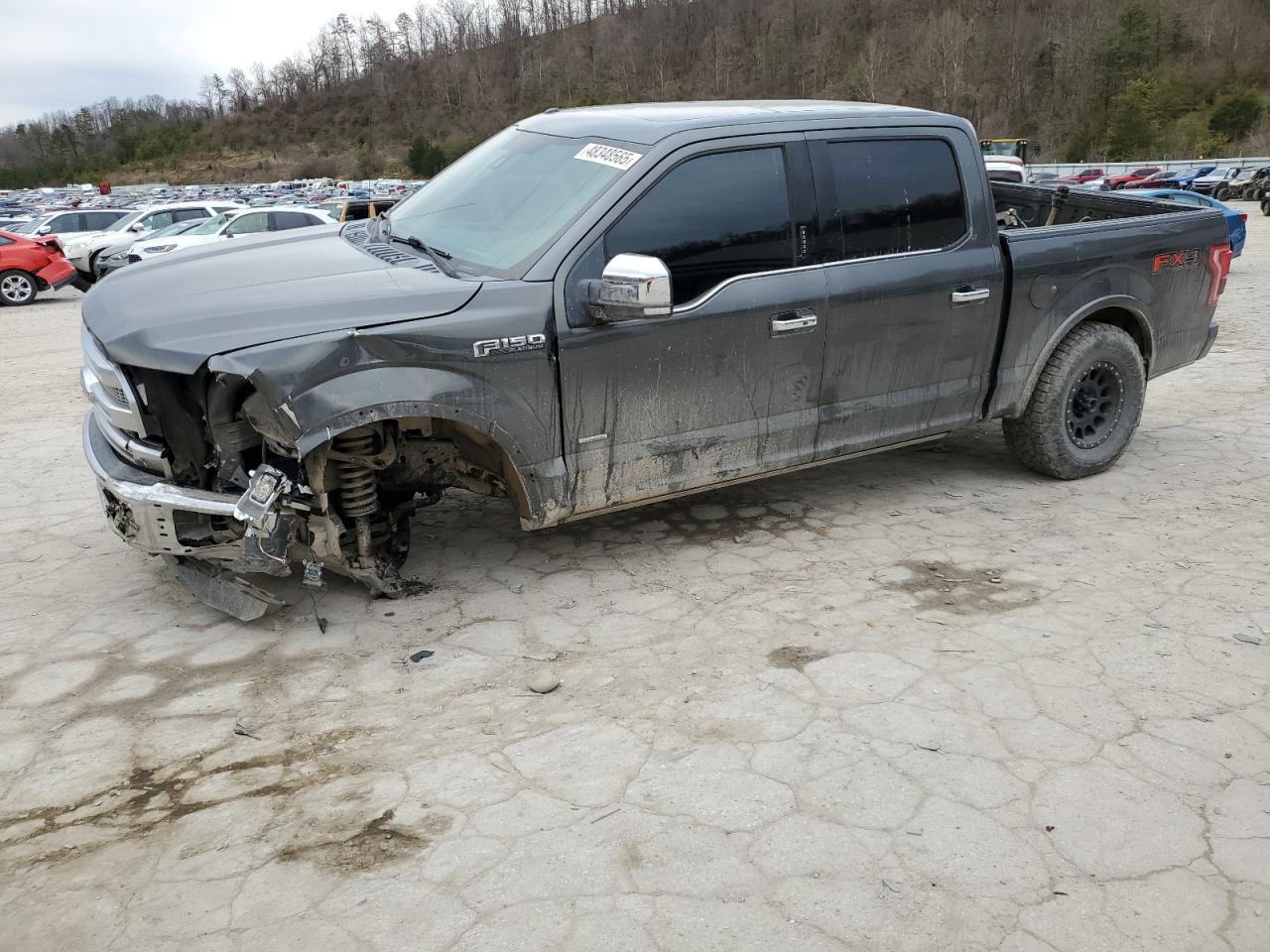 2015 Ford F-150 - Image 1