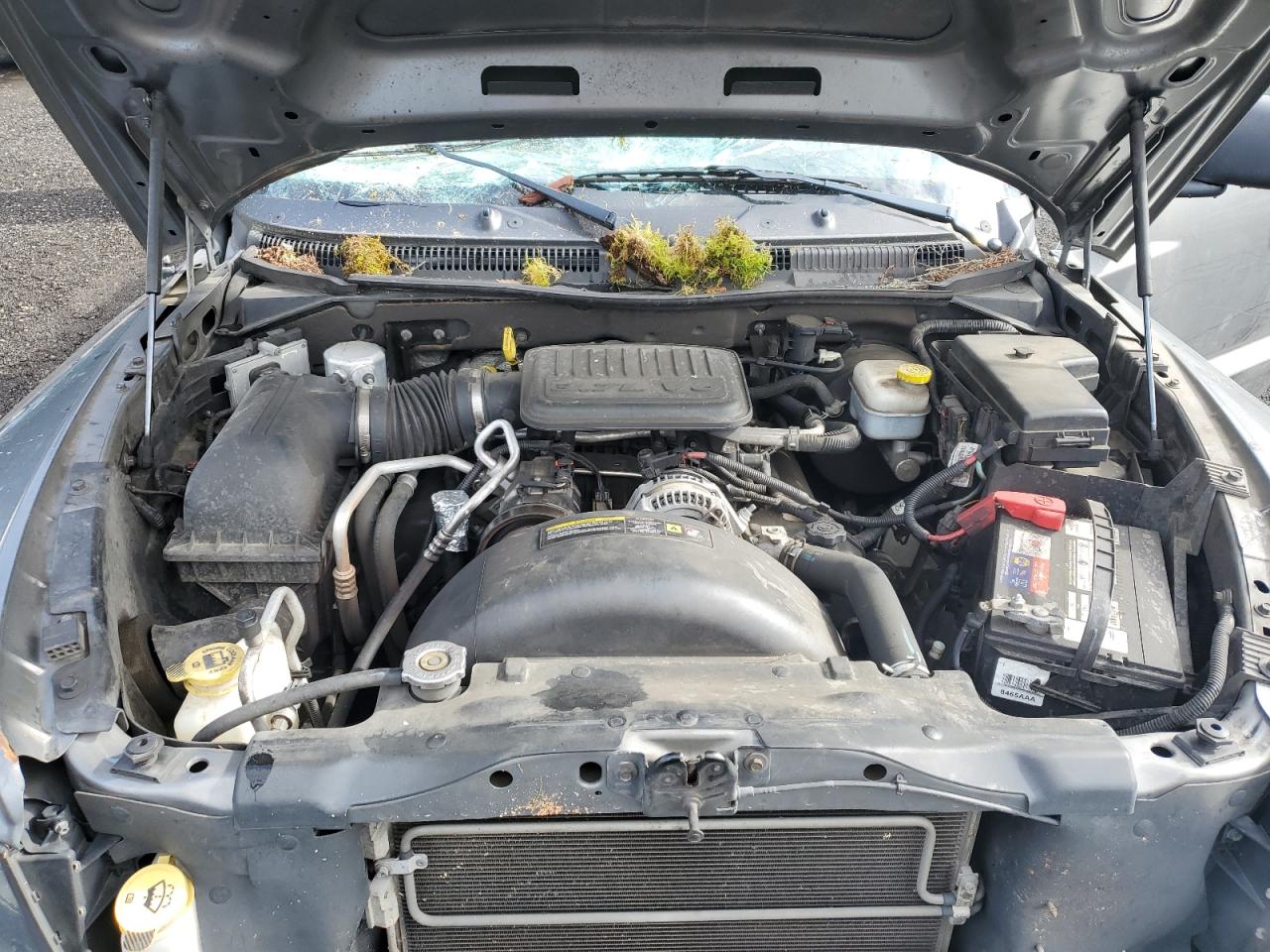 2010 Dodge Dakota - Image 11