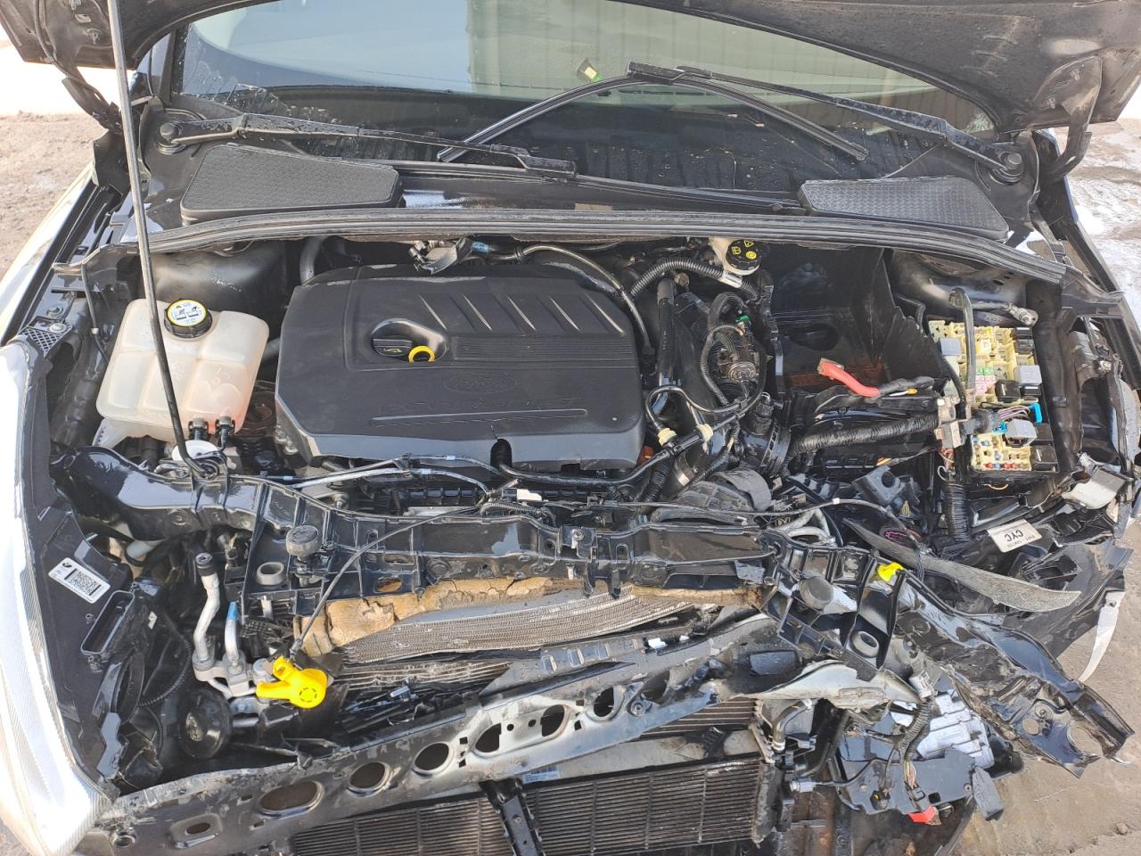 WF0FCXMBOHLS62629 - 2013 Ford Focus - #49749545