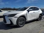 2024 Lexus Nx 350 Premium for Sale in Lebanon, TN - All Over