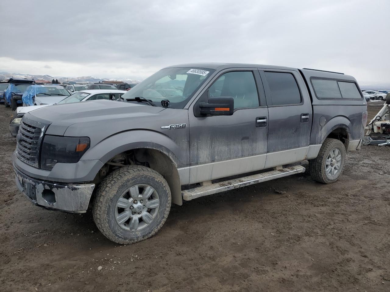 2010 Ford F-150 - Image 1