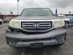 2014 Honda Pilot Exl للبيع في Wilmington، CA - Front End