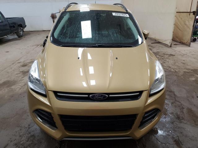 Паркетники FORD ESCAPE 2014 Золотий