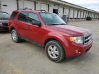 2011 Ford Escape Xlt for Sale in Louisville, KY - Top/Roof