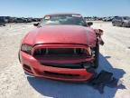 Arcadia, FL에서 판매 중인 2013 Ford Mustang    - Front End