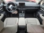 2025 Honda Cr-V Exl for Sale in Louisville, KY - Front End