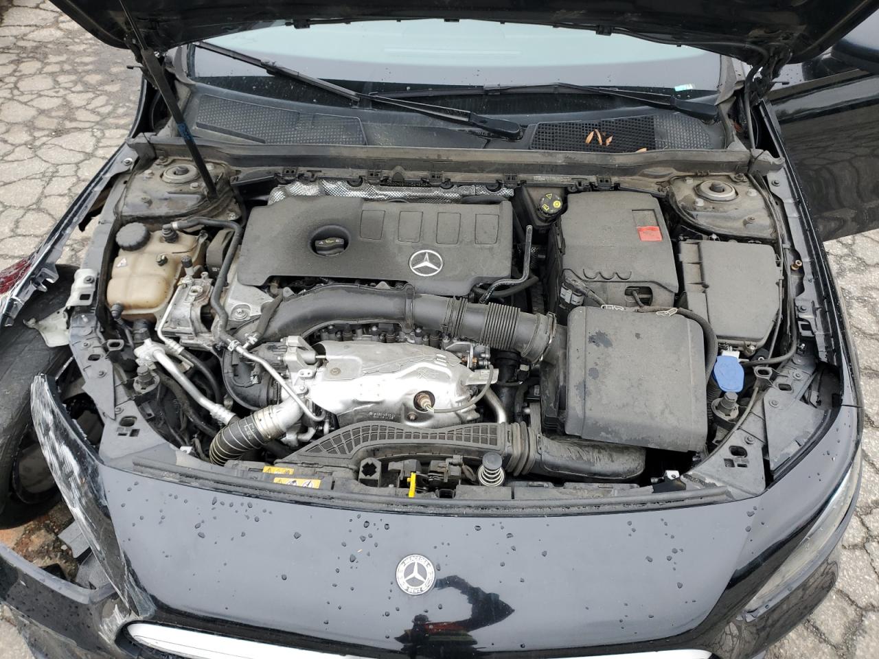 2019 Mercedes-Benz A 220 VIN: WDD3G4EBXKW024936 Lot: 49653545