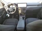 2024 Ford Escape Active zu verkaufen in Temple, TX - Hail
