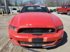 2013 Ford Mustang  for Sale in Oklahoma City, OK - Rear End