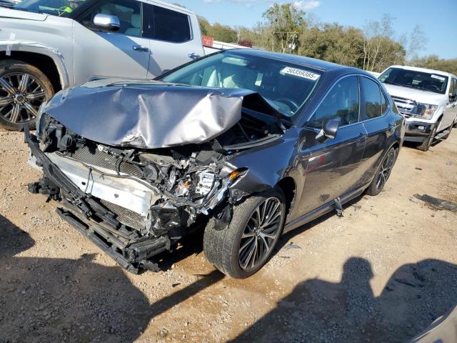  TOYOTA CAMRY 2019 Gray