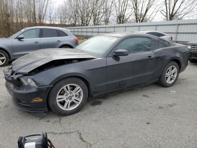 2013 Ford Mustang 