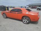 2013 Dodge Challenger R/T na sprzedaż w Earlington, KY - Hail