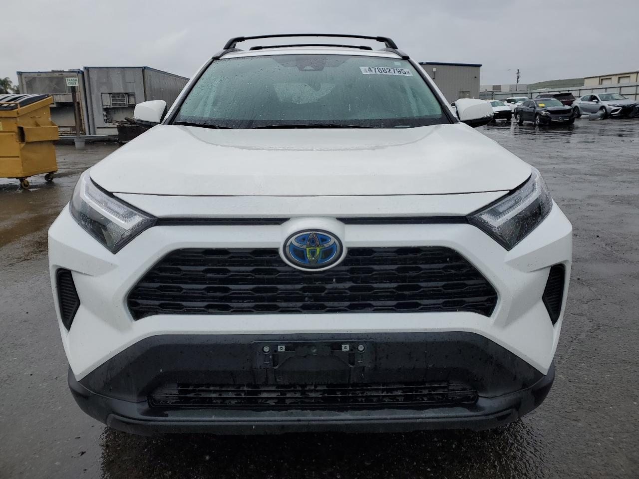 2024 Toyota RAV 4 - Image 5