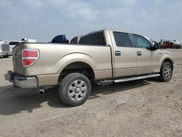  FORD F-150 2013 Золотий