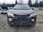 2014 Toyota Rav4 Xle zu verkaufen in Graham, WA - Front End