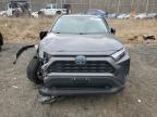 2023 Toyota Rav4 Le   for Sale in Baltimore, MD - All Over