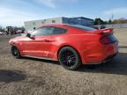 2019 FORD MUSTANG GT   à vendre chez Copart ON - COOKSTOWN