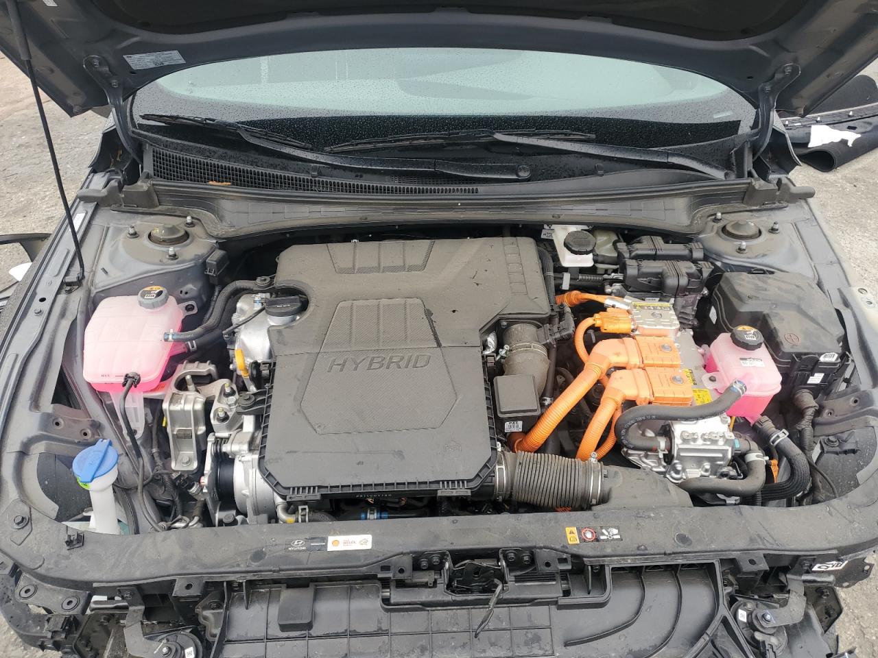 2024 Hyundai Elantra - Image 13