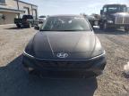 2025 Hyundai Elantra Se продається в Earlington, KY - Hail