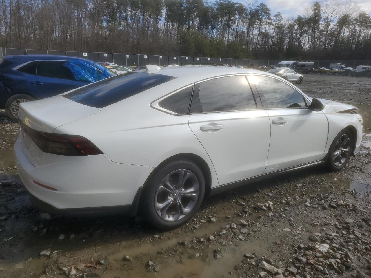 2024 Honda Accord - Image 3