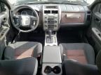 2008 Ford Escape Xlt zu verkaufen in Graham, WA - Front End