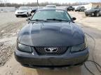 2004 Ford Mustang  на продаже в Louisville, KY - Hail