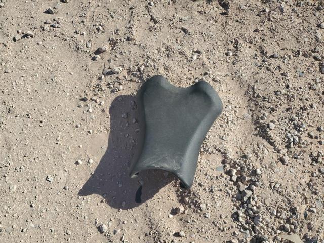  KAWASAKI ZX1002 M 2023 Черный