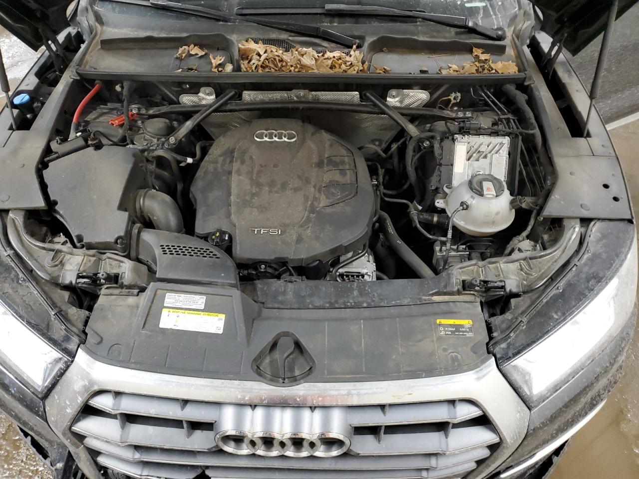 2019 Audi Q5 - Image 11