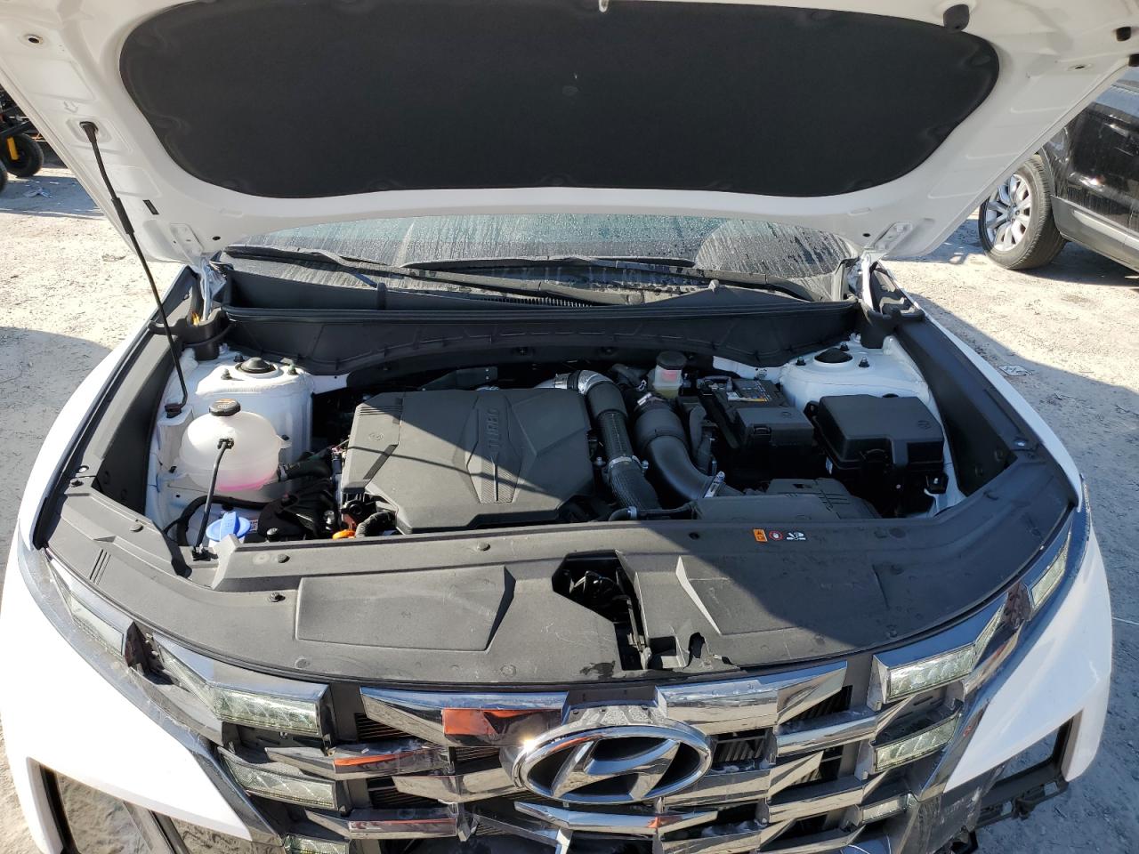 2024 Hyundai Santa Cruz Limited VIN: 5NTJEDDF2RH104390 Lot: 50969905