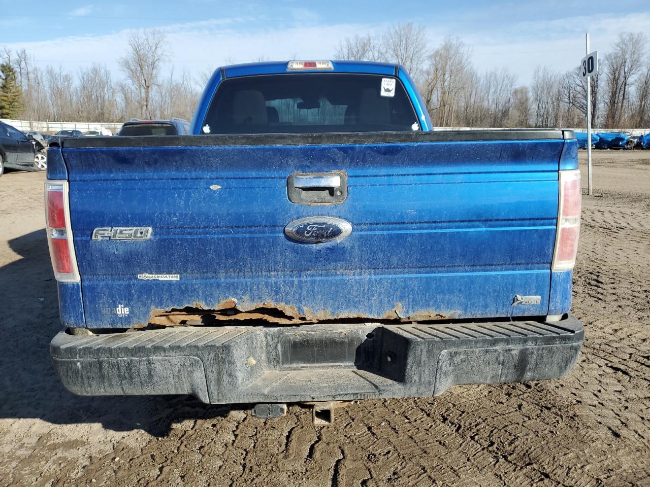2010 Ford F-150 - Image 6
