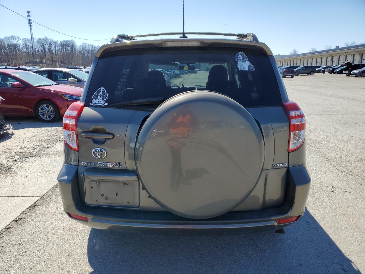 2010 Toyota Rav4 VIN: 2T3BF4DV5AW070465 Lot: 49533025