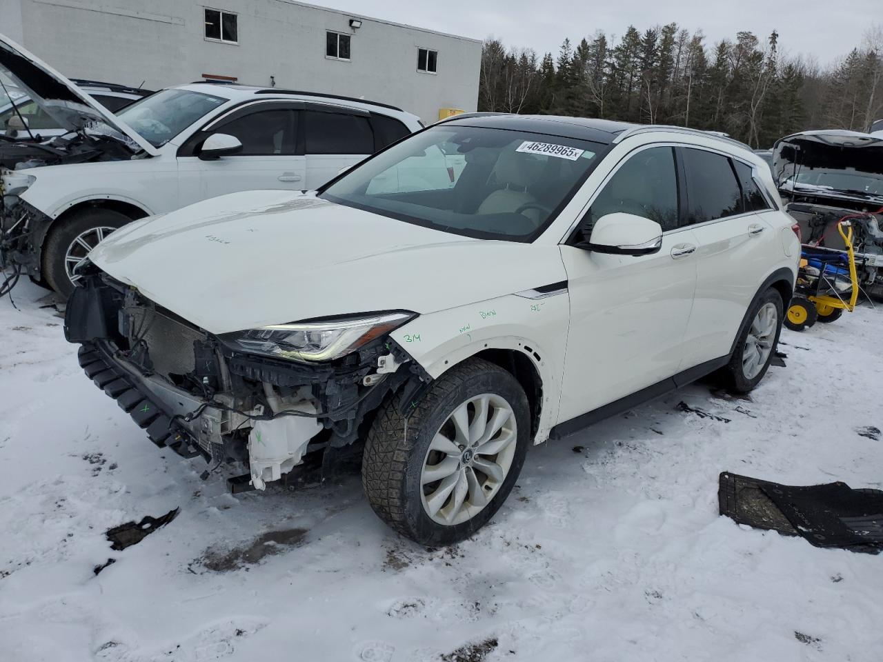2019 Infiniti QX50 - Image 1
