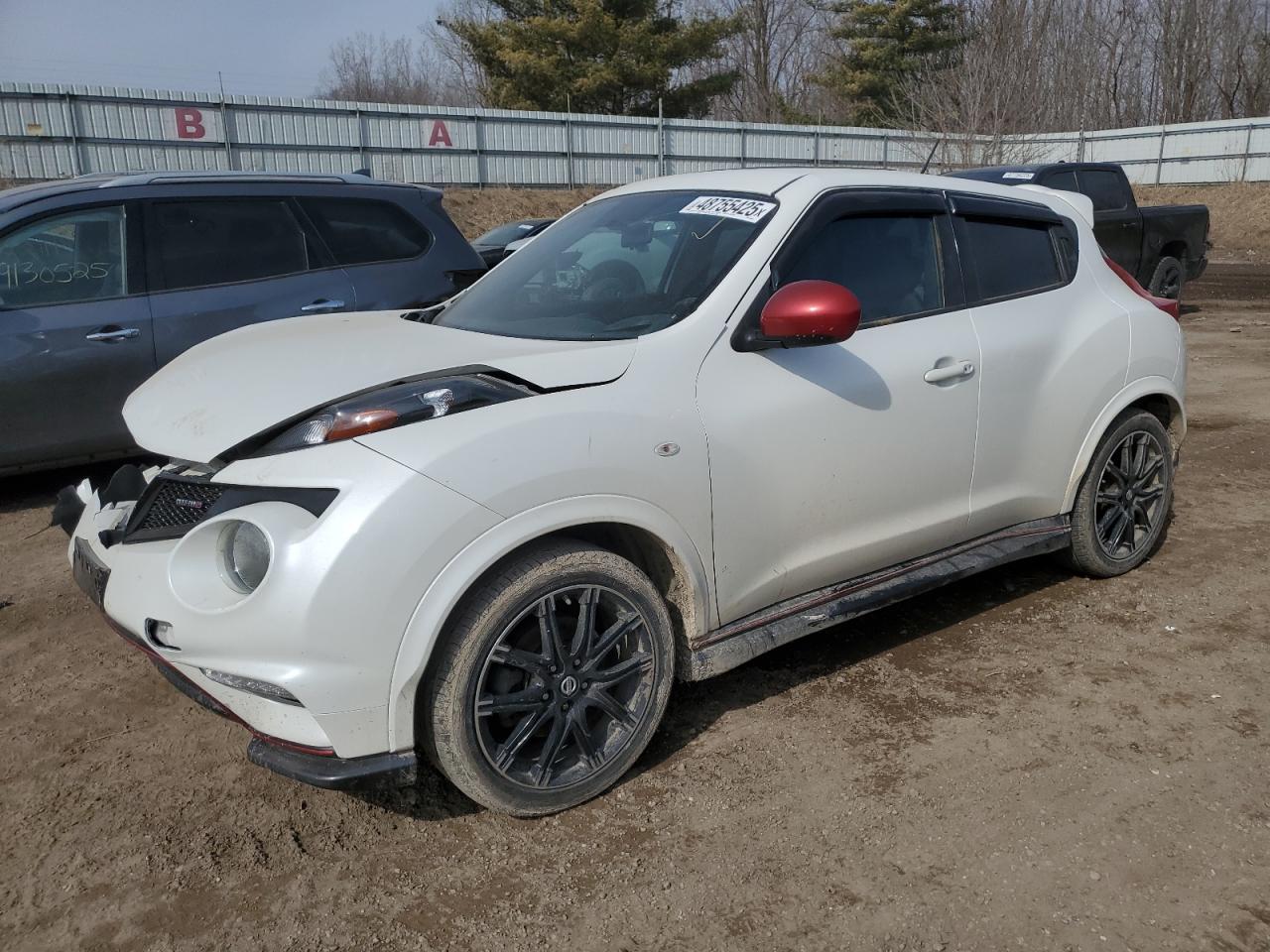 2014 Nissan Juke - Image 1