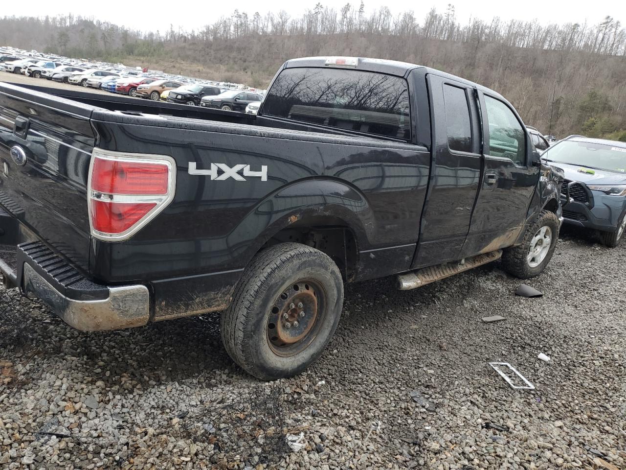 2010 Ford F-150 - Image 3