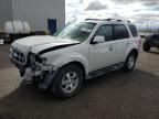 2010 Ford Escape Limited na sprzedaż w Tucson, AZ - Front End