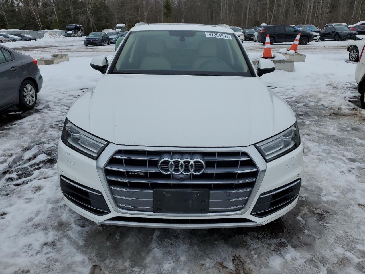 2019 Audi Q5 - Image 5
