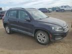 2016 Volkswagen Tiguan S for Sale in Brighton, CO - Rear End