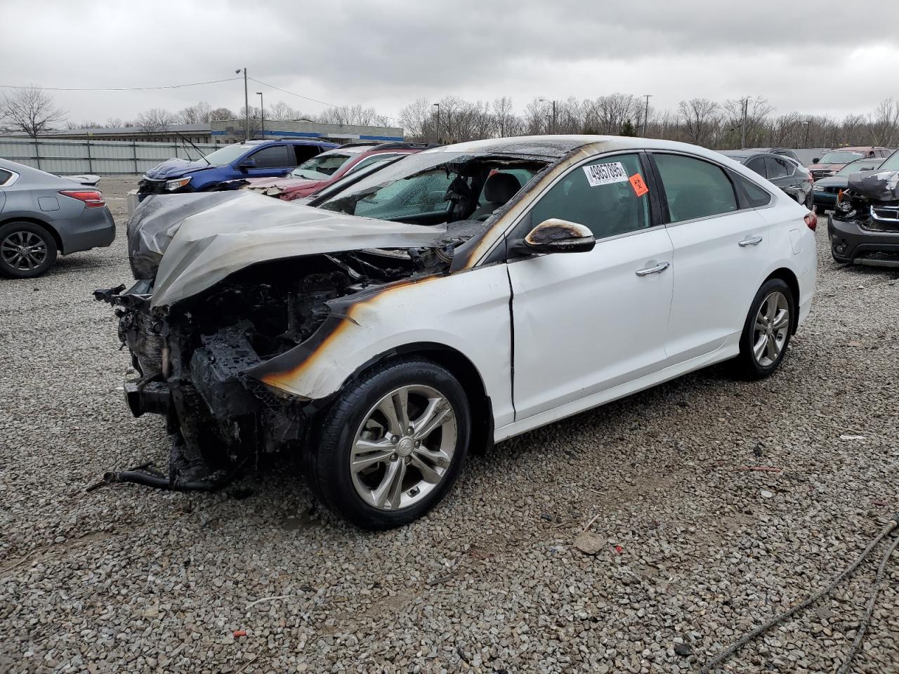 2019 Hyundai Sonata Limited за продажба в Louisville, KY - Burn - Engine