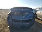 2023 Tesla Model Y  на продаже в Brighton, CO - All Over
