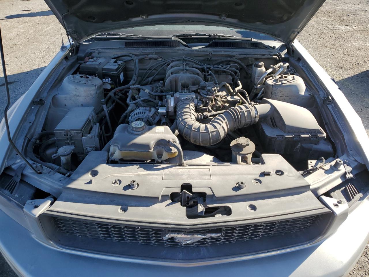 2009 Ford Mustang - Image 13