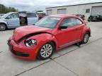 2015 Volkswagen Beetle 1.8T იყიდება Gaston-ში, SC - All Over