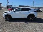 2024 LEXUS NX 350 PREMIUM à vendre chez Copart NJ - SOMERVILLE