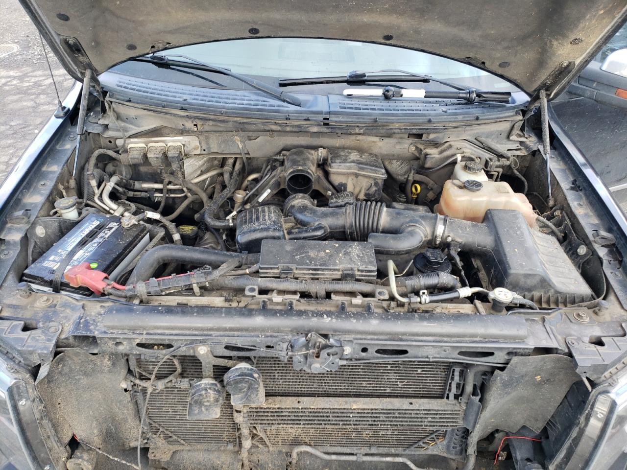 2010 Ford F-150 - Image 12