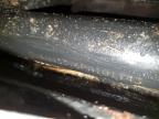 2023 Yamaha Yxz1000  for Sale in Lansing, MI - Rear End