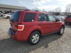 2011 Ford Escape Xlt للبيع في Louisville، KY - Rear End